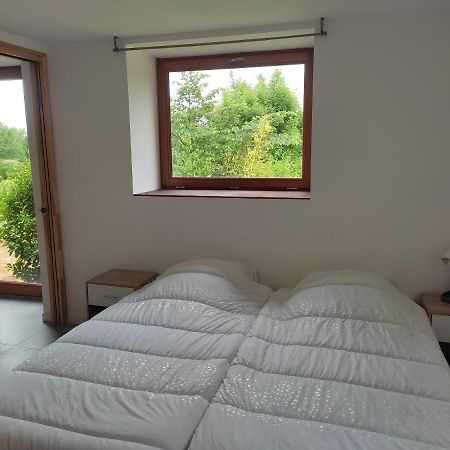 Grande Maison d'Architectes - Jardin&sous-bois Bains-sur-Oust Extérieur photo
